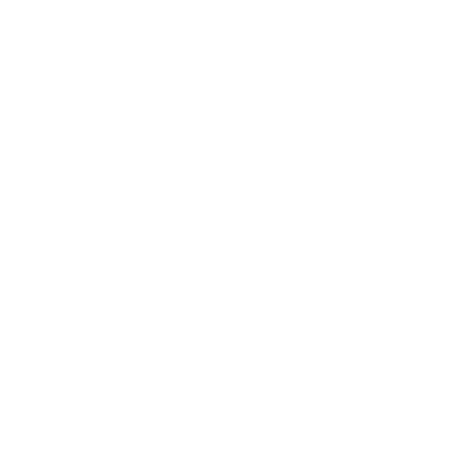 Google Play Store